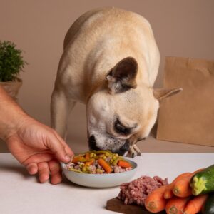 Mudando para uma Dieta Natural: A Transição de Alimento Comercial para Comida Natural para o seu Pet